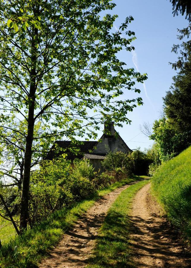 Villa Le Bourmier Anlhiac Near Excideuil Esterno foto