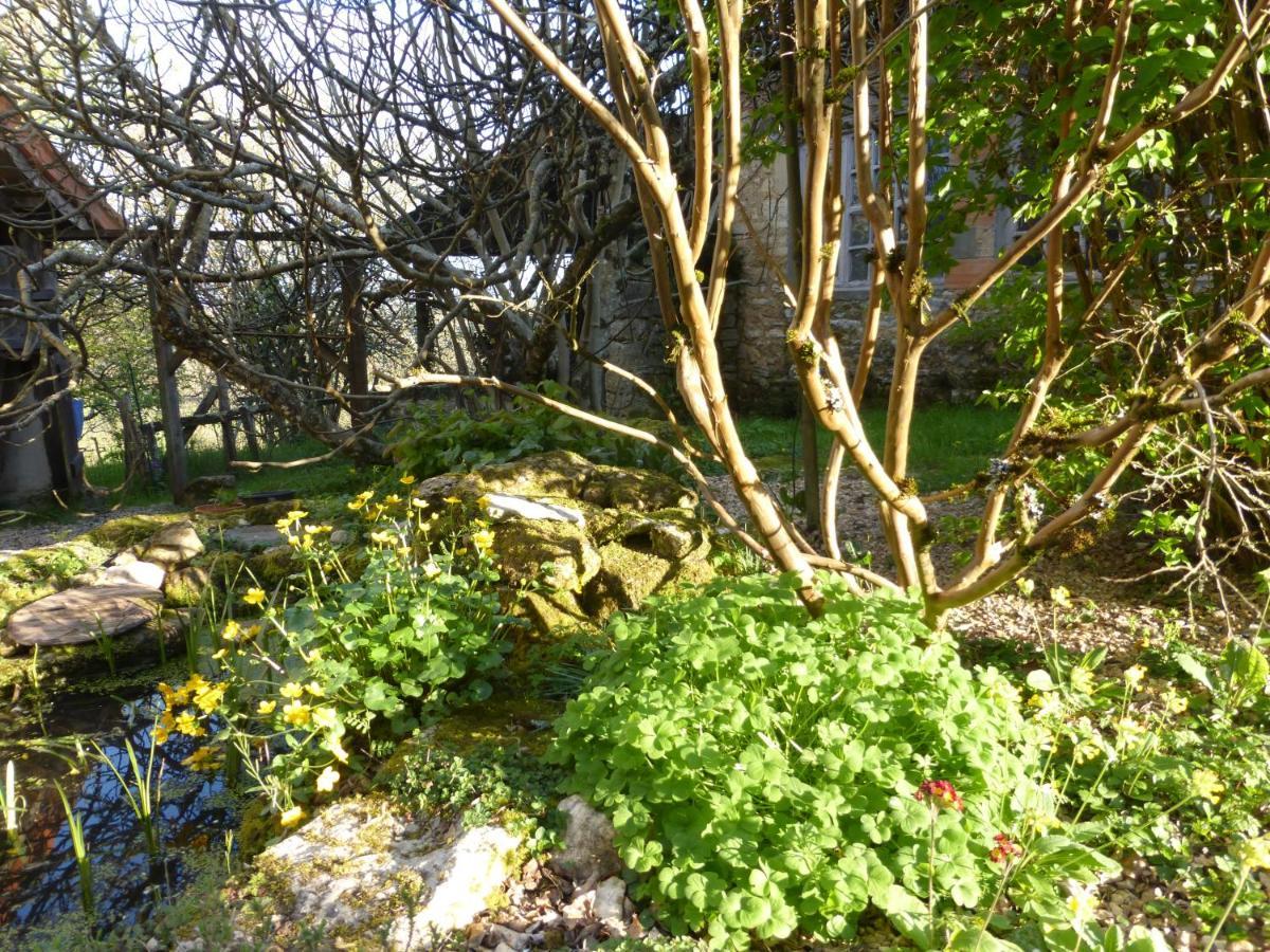 Villa Le Bourmier Anlhiac Near Excideuil Esterno foto
