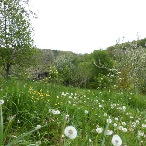 Villa Le Bourmier Anlhiac Near Excideuil Esterno foto